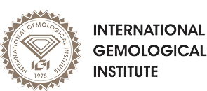 IGI logo